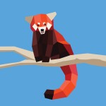 Paint by Sticker Kids, Zoo Animals, Create 10 Pictures One Sticker at a Time