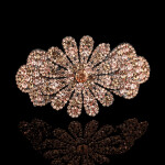 Hair Clips Women Hair Accessories Pearl Barrette Hair Pins Spring Clip