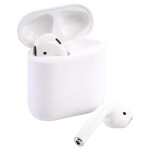 Apple AirPods 2 with Charging Case