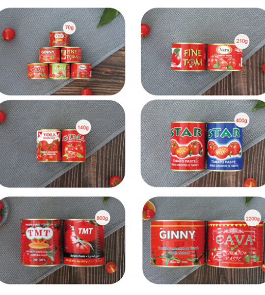 Halal Tomato paste canned food 22-24% Brix Easy Open Tomato Paste
