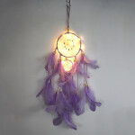 LED Lighting Feather Dream Catcher Girl Room Bell Bedroom Romantic Hanging Decoration.