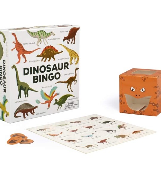 Dinosaur Bingo An easy to play game for children and families