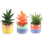 Artificial Succulent Green Red Plants Modern Ceramic Pots for Home Decoration