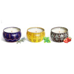 Scented Candles Gifts Set Aromatherapy Candles with Portable Travel Tin for Home Decor