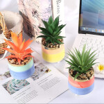 Artificial Succulent Green Red Plants Modern Ceramic Pots for Home Decoration