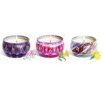 Scented Candles Gifts Set Aromatherapy Candles with Portable Travel Tin for Home Decor