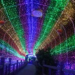 holiday led light ltring lhristmas lights lutdoor 50M 20M 10M EU US plug led string lights for party wedding garland dec
