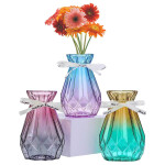 Glass Vase Modern Flower Vases for Rustic Home Decoration