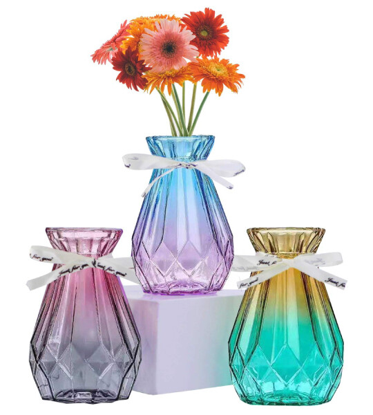 Glass Vase Modern Flower Vases for Rustic Home Decoration