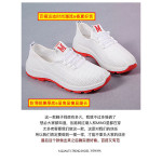 Men and Womens Unisex Slipper Sandals