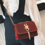 Women's Chains Crossbody Bags