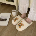 Womens Winter Home Casual Shoes